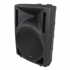 JB SYSTEMS JB SYSTEMS PS-12 